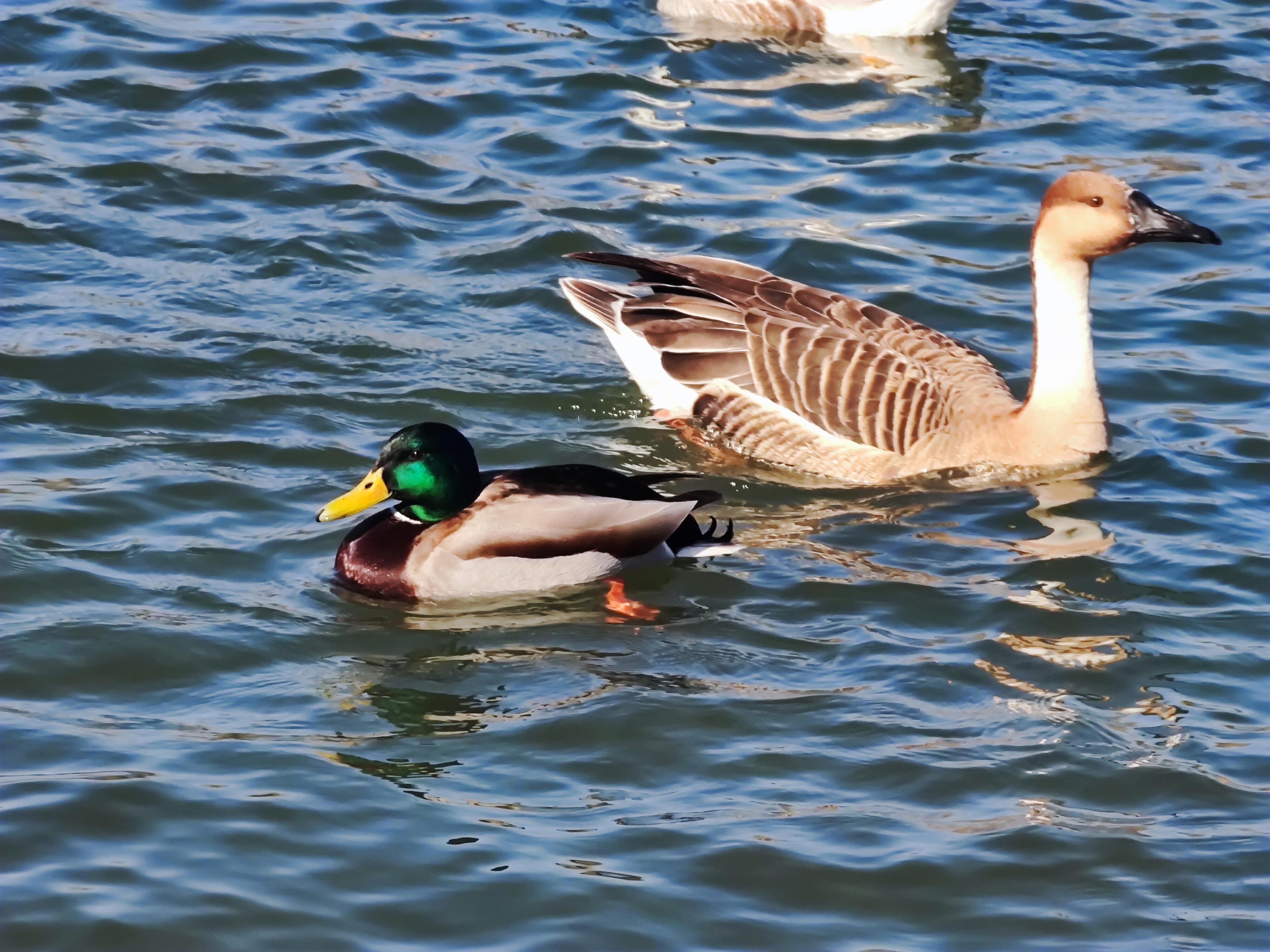 IMG_20240207_132135.webp